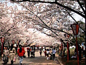 緑豊かな公園で遊具遊びとひと休み
