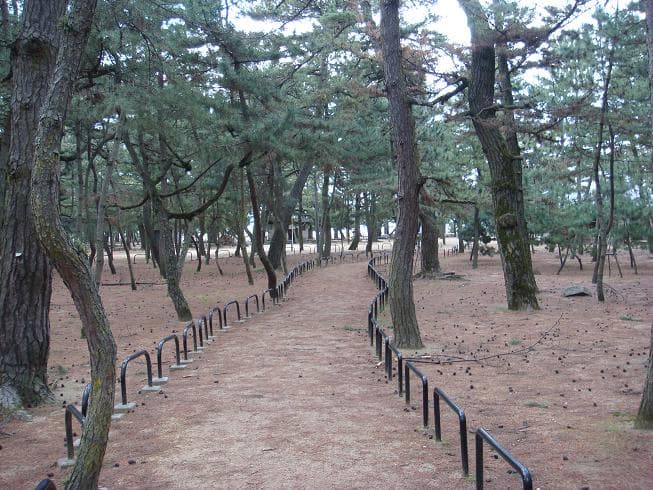 松林に戻って観覧場所を確保、屋台で夕食を済ませながら開演待ち
