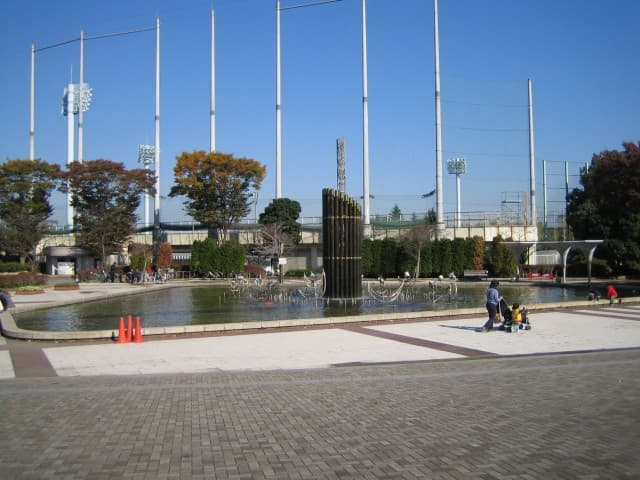 広々とした芝生広場と競技場の雰囲気を楽しむ