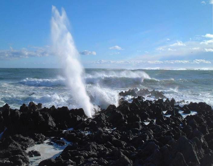 潮吹き岩など海辺の奇岩を散策