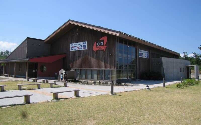 入館無料でカニ約20種に会えるミニ水族館で締めくくり