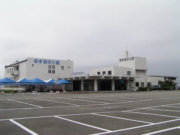水族館と海中展望塔でテーブルサンゴと熱帯魚の海を観察