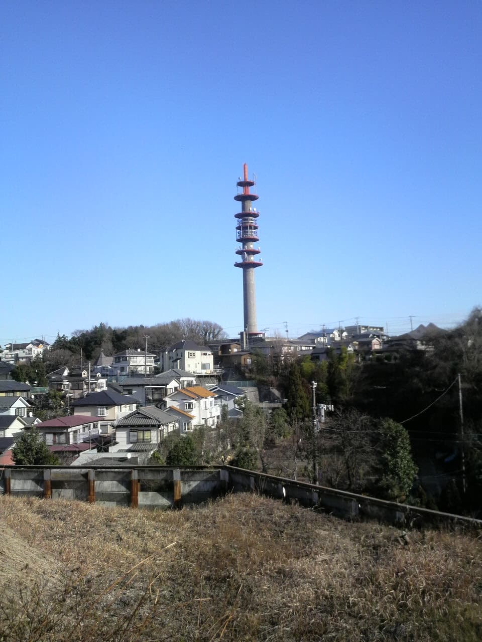 腹ごしらえをすませてから会場へ移動し、盆踊りに加わる