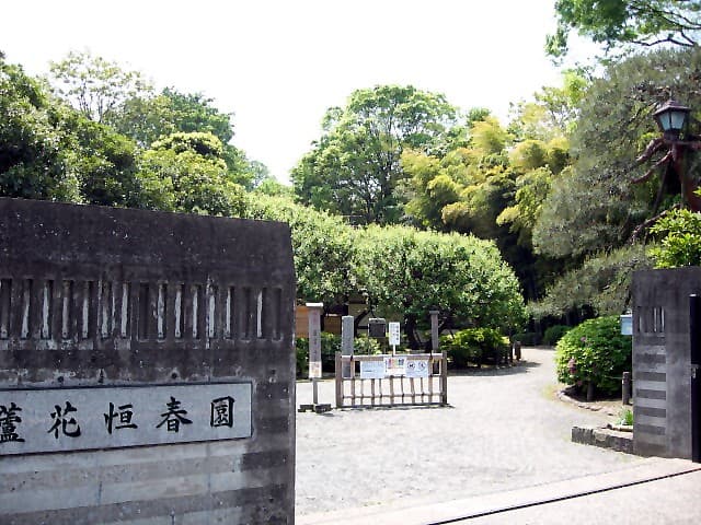 木立に囲まれた緑地公園で朝の散策