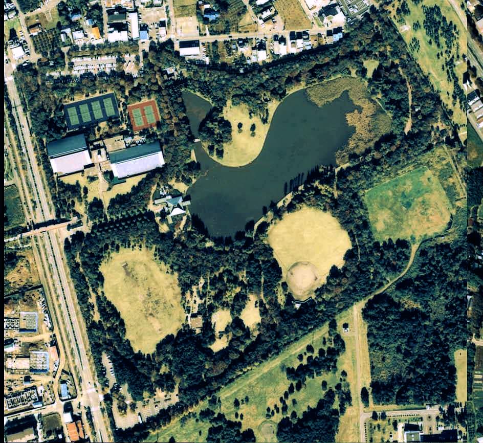 洞峰公園