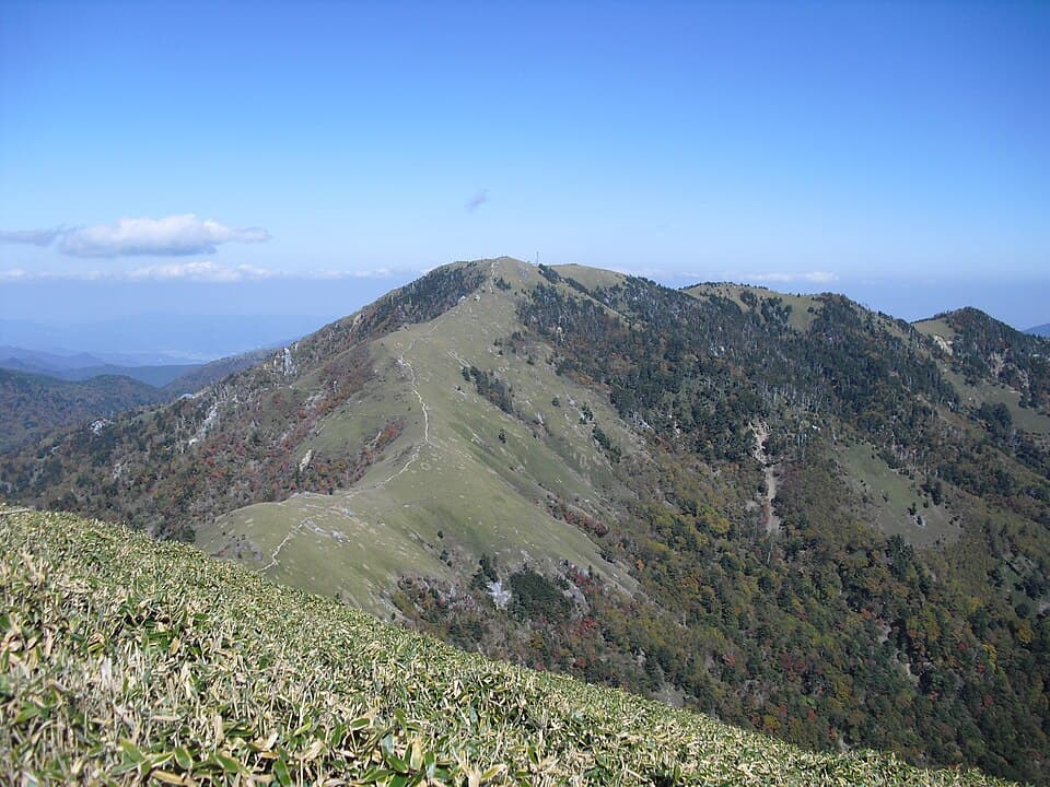 標高1955m、笹原の稜線と次郎笈を望む天空の大パノラマ