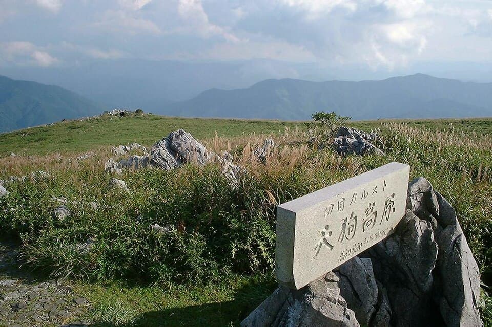 白い石灰岩が点在する日本三大カルストの天空草原ハイク
