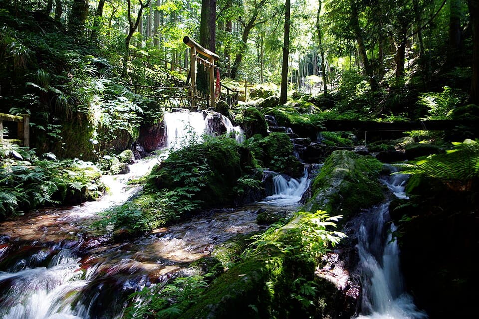 名水百選の湧き水と苔むした緑の谷で涼みながらドライブの締めくくり