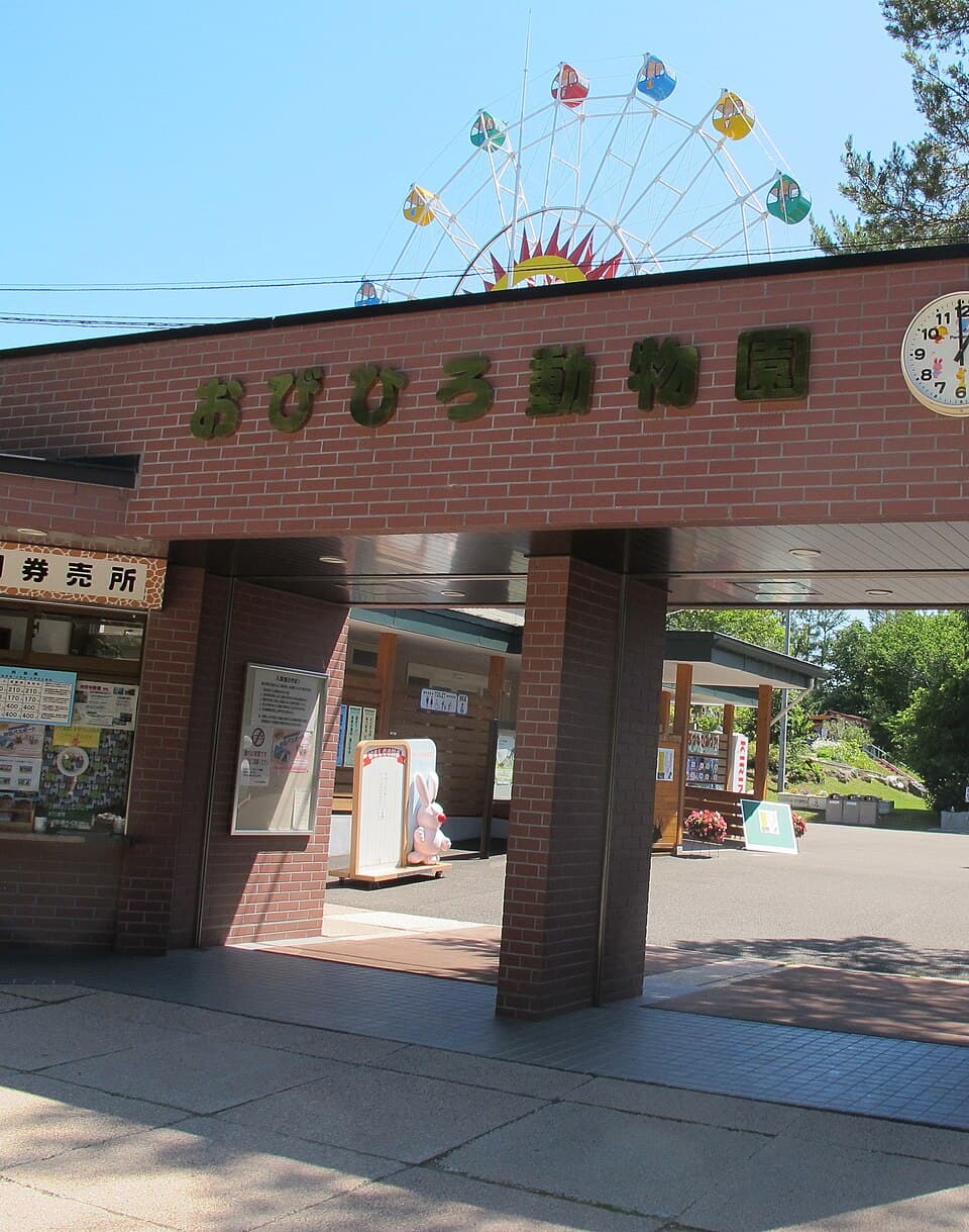北海道ゆかりの動物たちと触れ合う午後のひととき