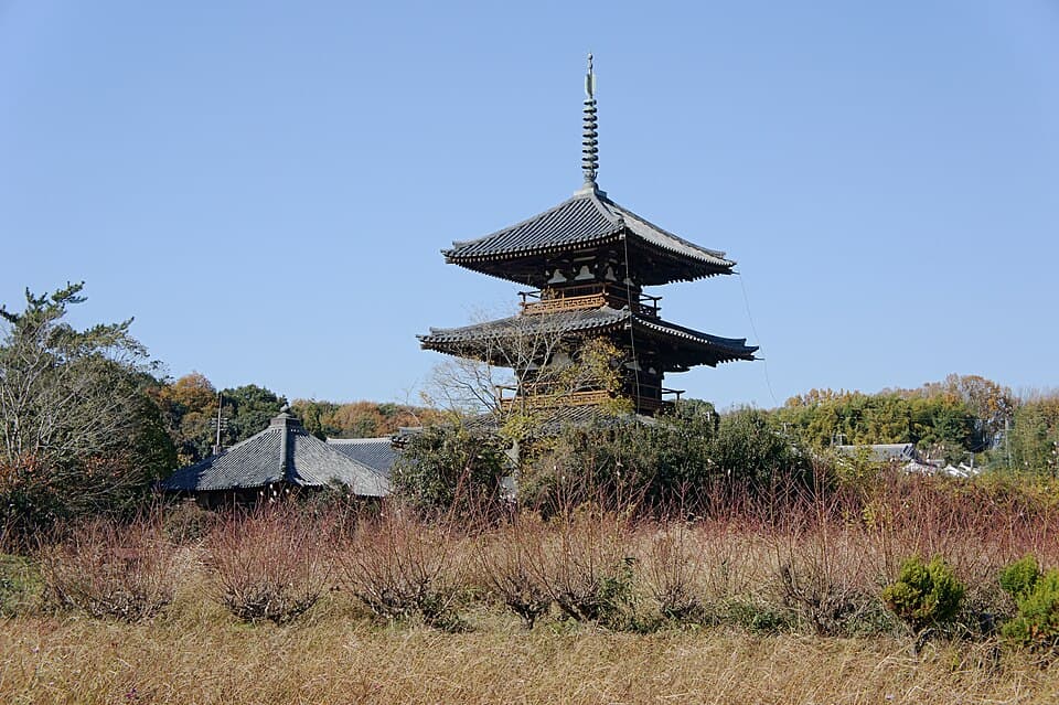 日本最古の三重塔が立つ世界遺産。田園風景と塔の眺めで締めくくる