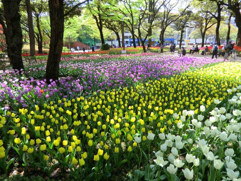 横浜公園
