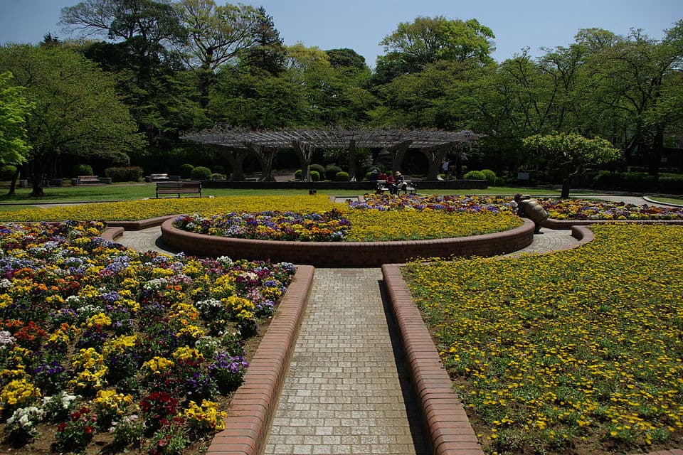 緑豊かな丘の公園で散策、江戸川の眺めを楽しむ