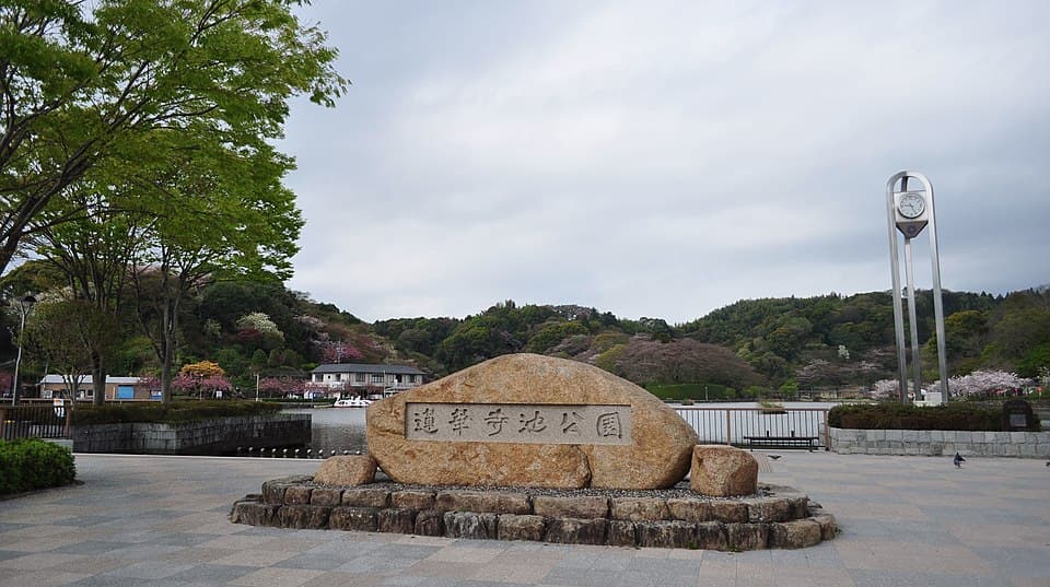 約5,000発の花火を池のほとりから観覧