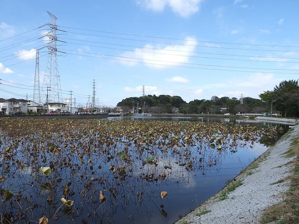 池のほとりで場所取りをしながら夕食