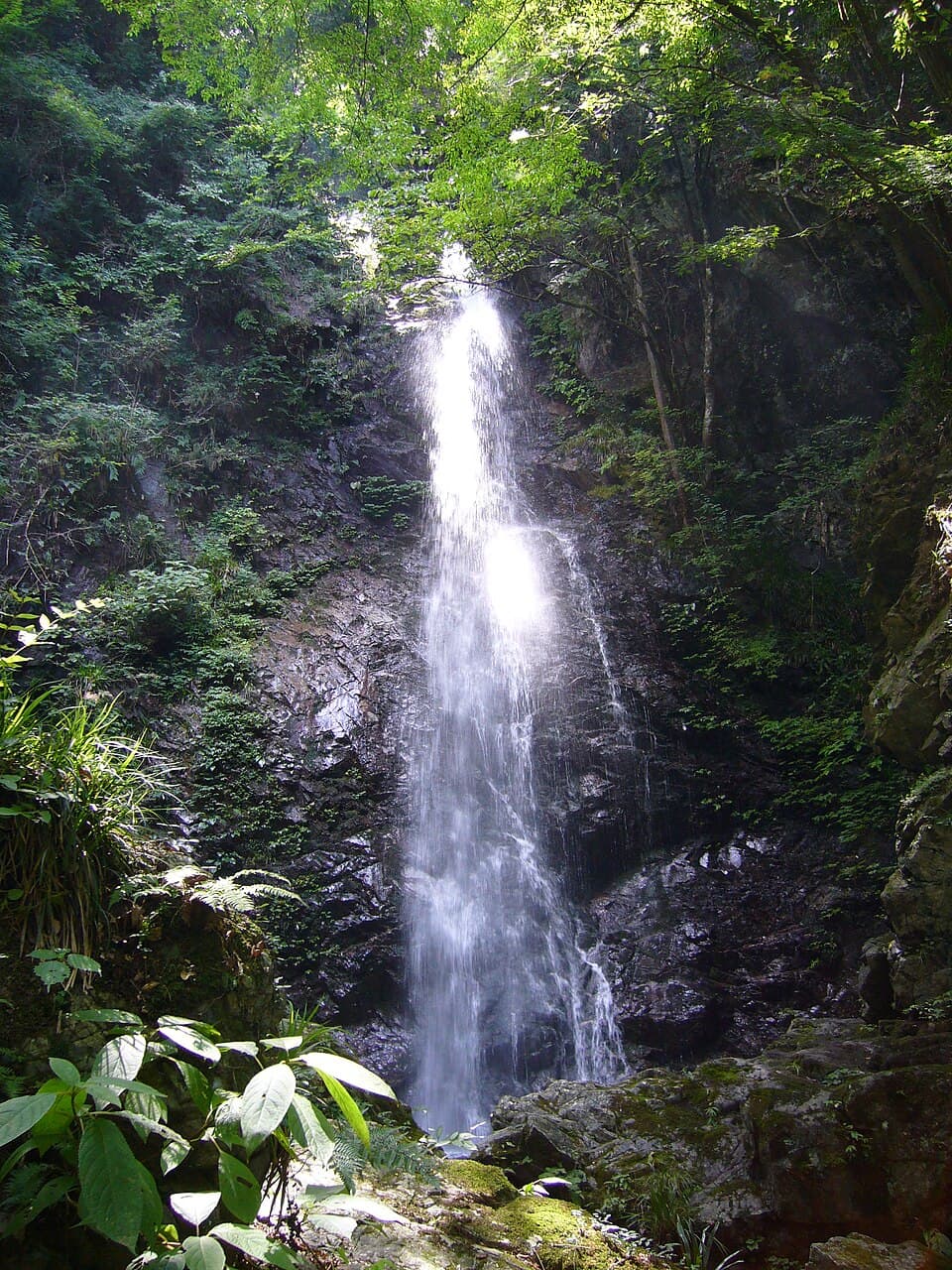檜原村を代表する滝の涼やかな景色を楽しむ