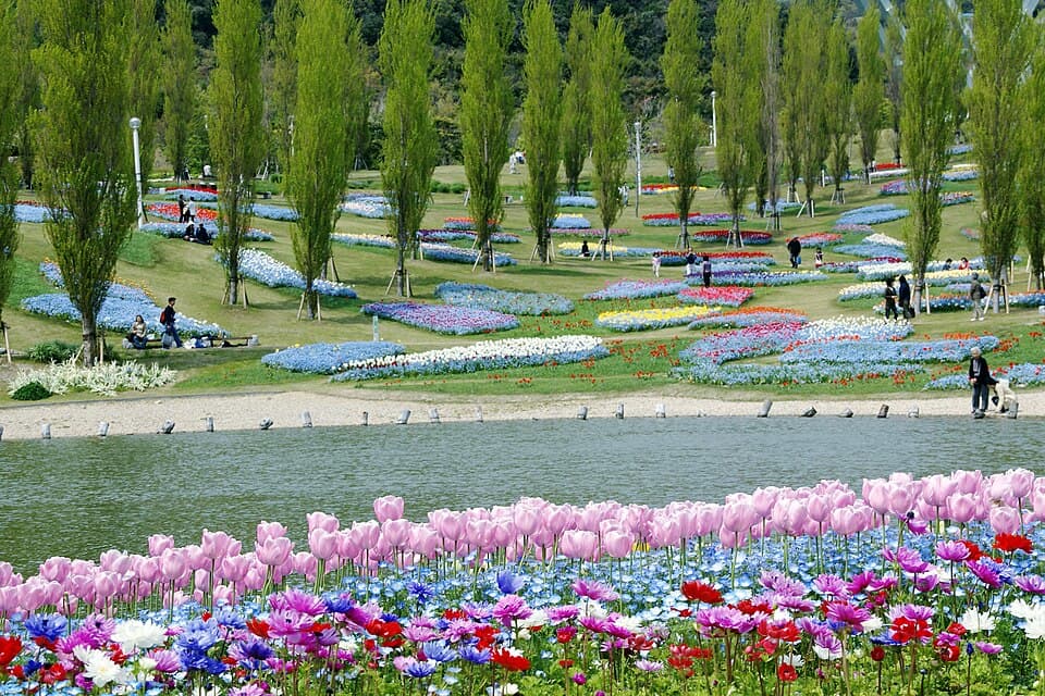 季節の花々が丘を彩る大花壇を散策、大型遊具で子どもも大満足