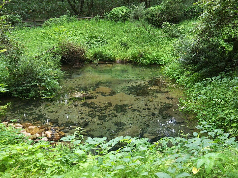 蒜山高原に湧く清らかな冷泉で涼をとる