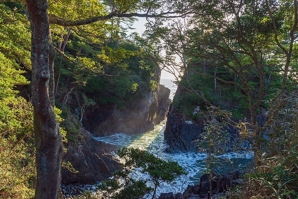 三陸の荒々しい岩礁と透明な海を眺め、潮風を満喫