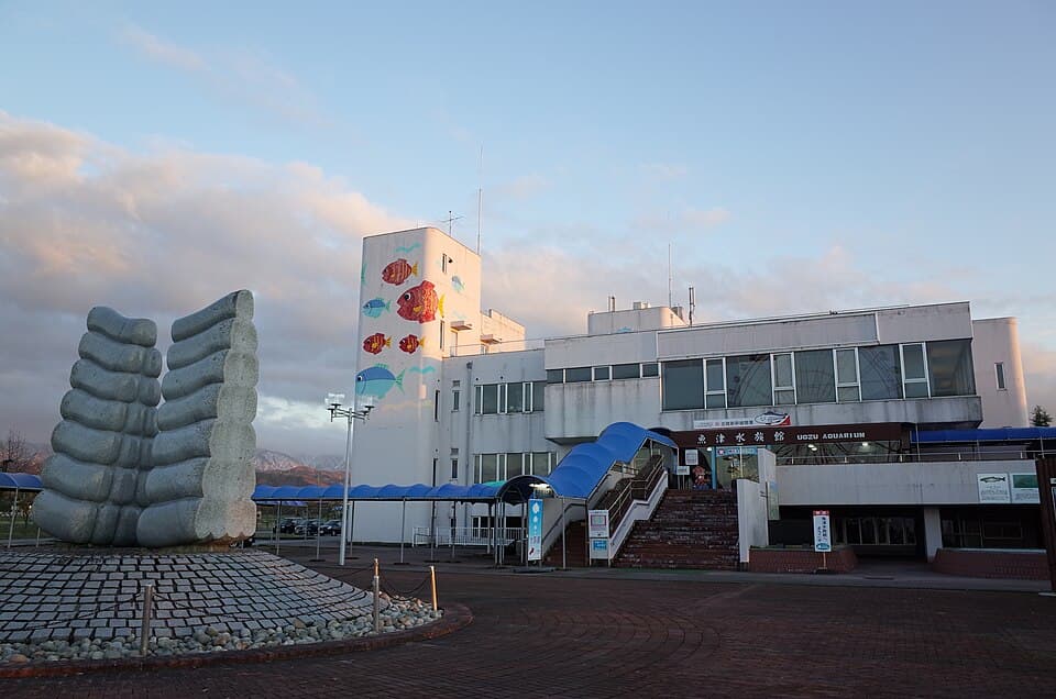 日本最古級の水族館で富山湾の海の生きものにふれる