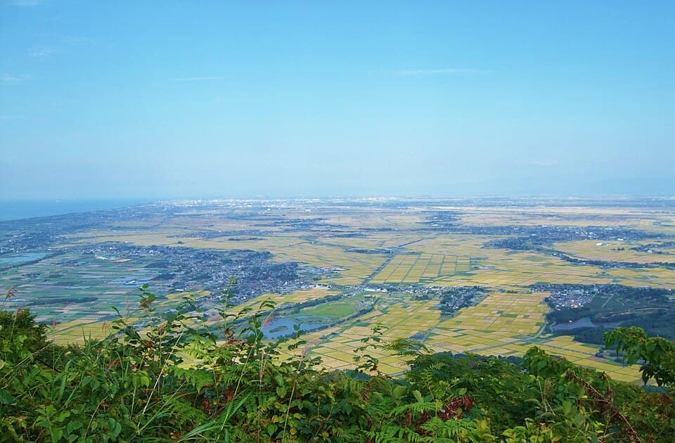角田山を望む広い園内でのびのび遊ぶ