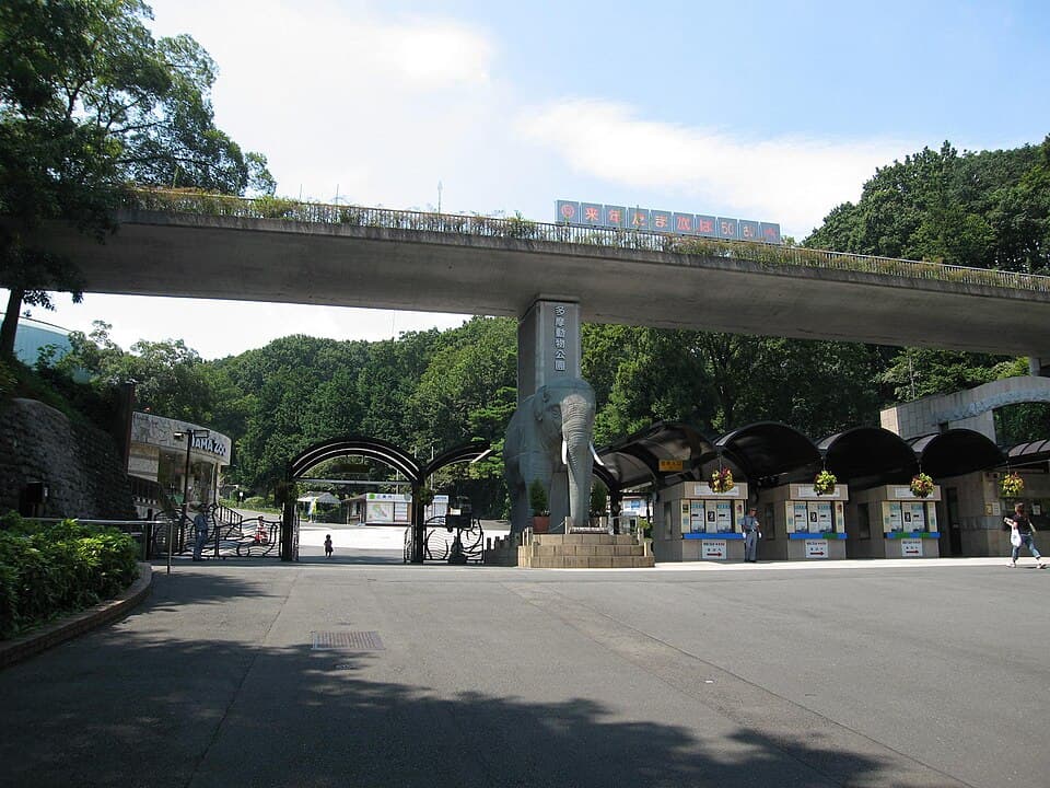 コアラやライオンに会える丘の上の動物園