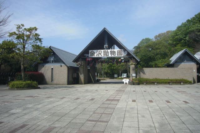草原の動物たちと高台の緑陰でのんびり午後を過ごす