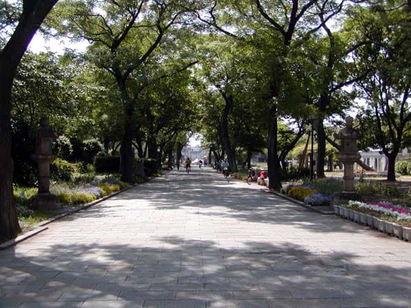 松の緑が心地よい公園でお弁当ランチ、遊具で孫もひと遊び