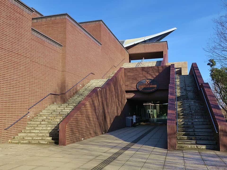 พิพิธภัณฑ์ธรรมชาติจังหวัดอิบารากิ (Museum Park Ibaraki Prefecture Natural Museum)