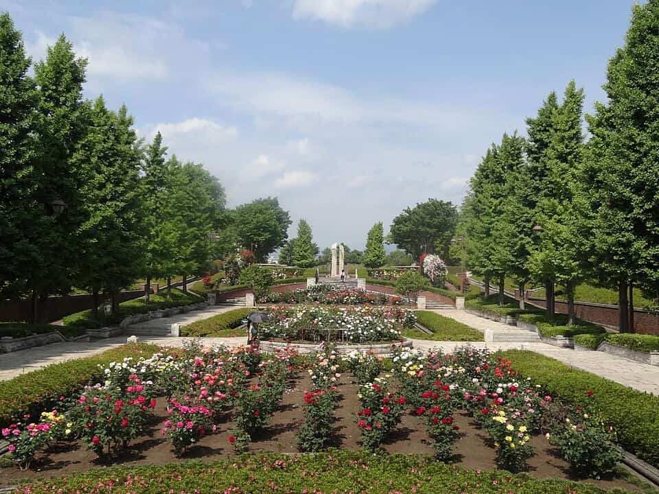 秋留台公園