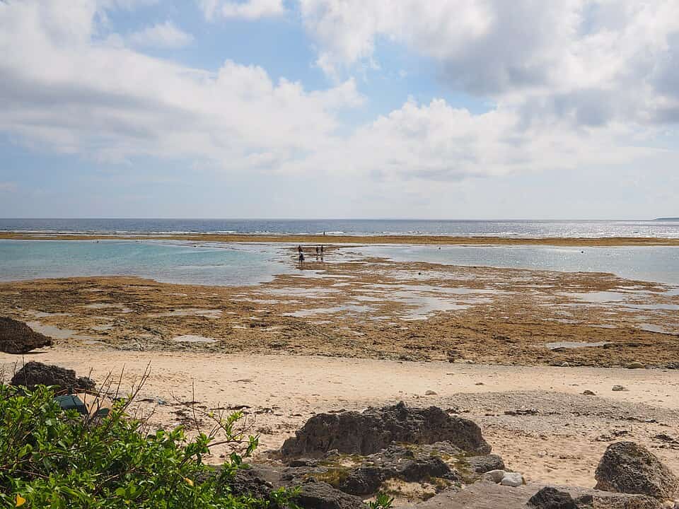 仲本海岸