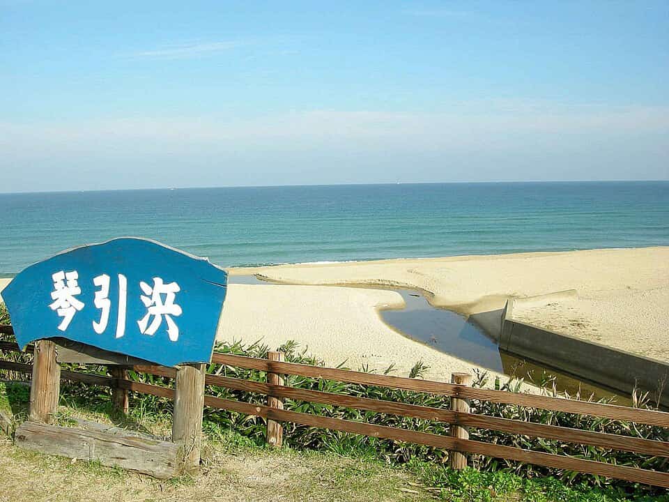 琴引浜
