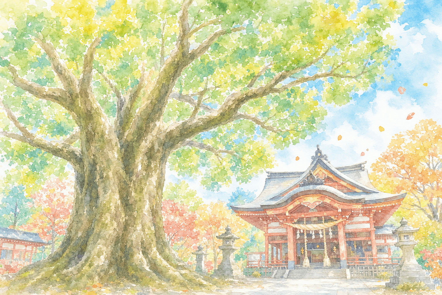 蒲生の大クス