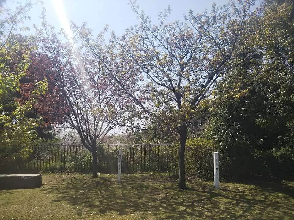 本牧山頂公園