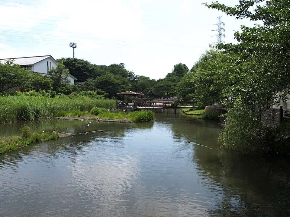 岸根公園
