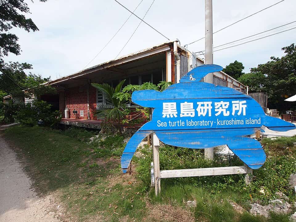 黒島研究所