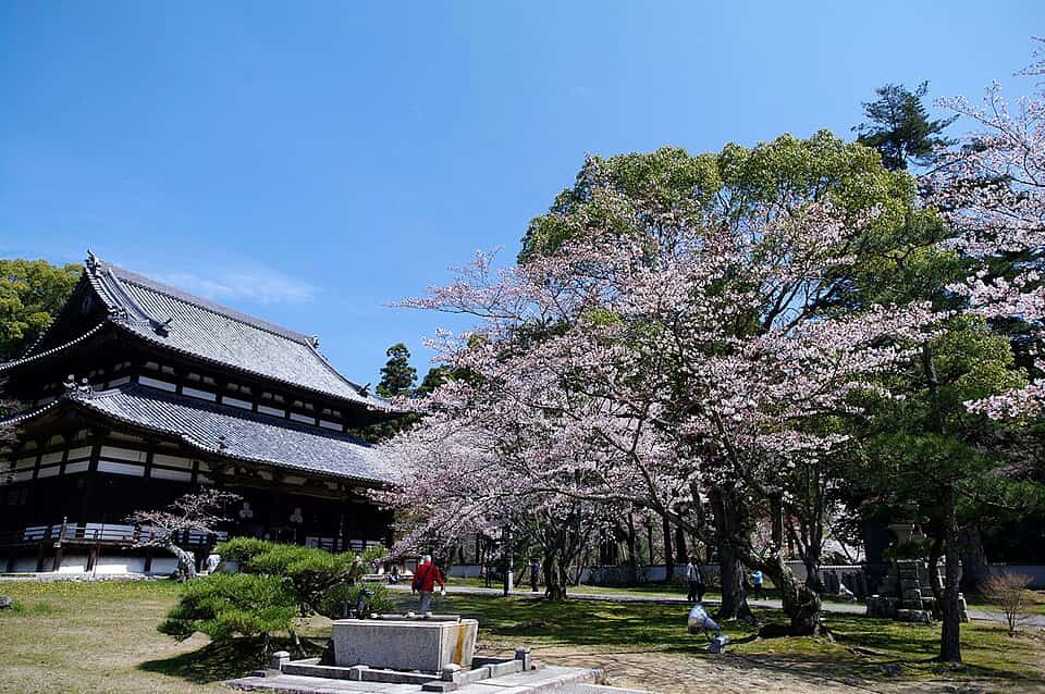 根來寺